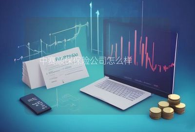 中賽順保保險公司在計算機軟硬件的技術(shù)開發(fā)與銷售領(lǐng)域的發(fā)展與優(yōu)勢