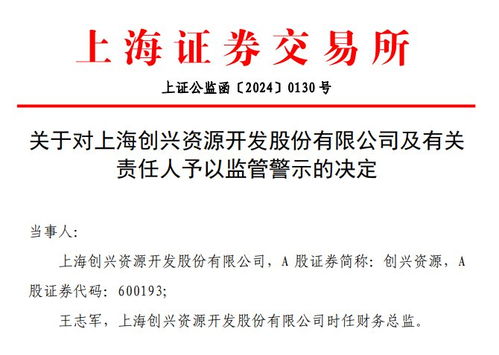 V觀財報｜創興資源財報信披不準遭監管警示，信息服務業務成焦點